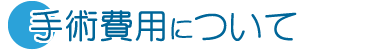 手術費用について