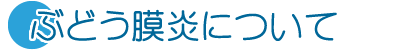 ぶどう膜炎について