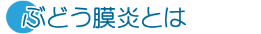 ぶどう膜炎とは