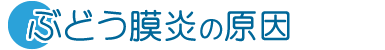 ぶどう膜炎の原因