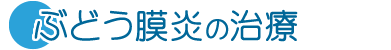 ぶどう膜炎の治療