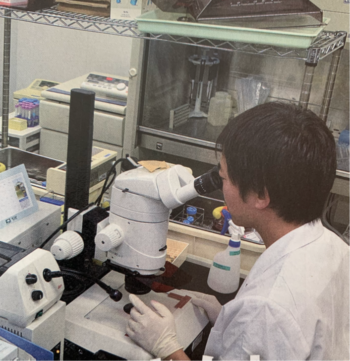 研究をしている時代の杉田直院長